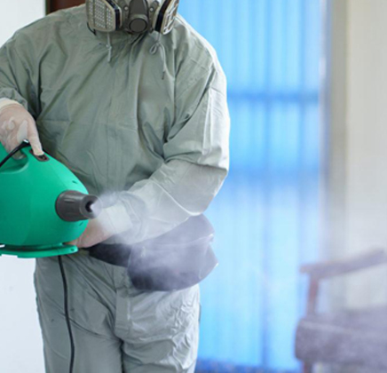 mould-clean-up-nzrrs-3.jpg<br />
